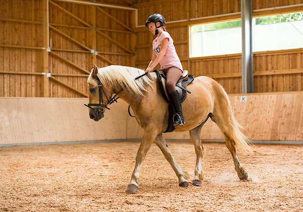 Reiturlaub im Familienhotel im Bayerischen Wald
